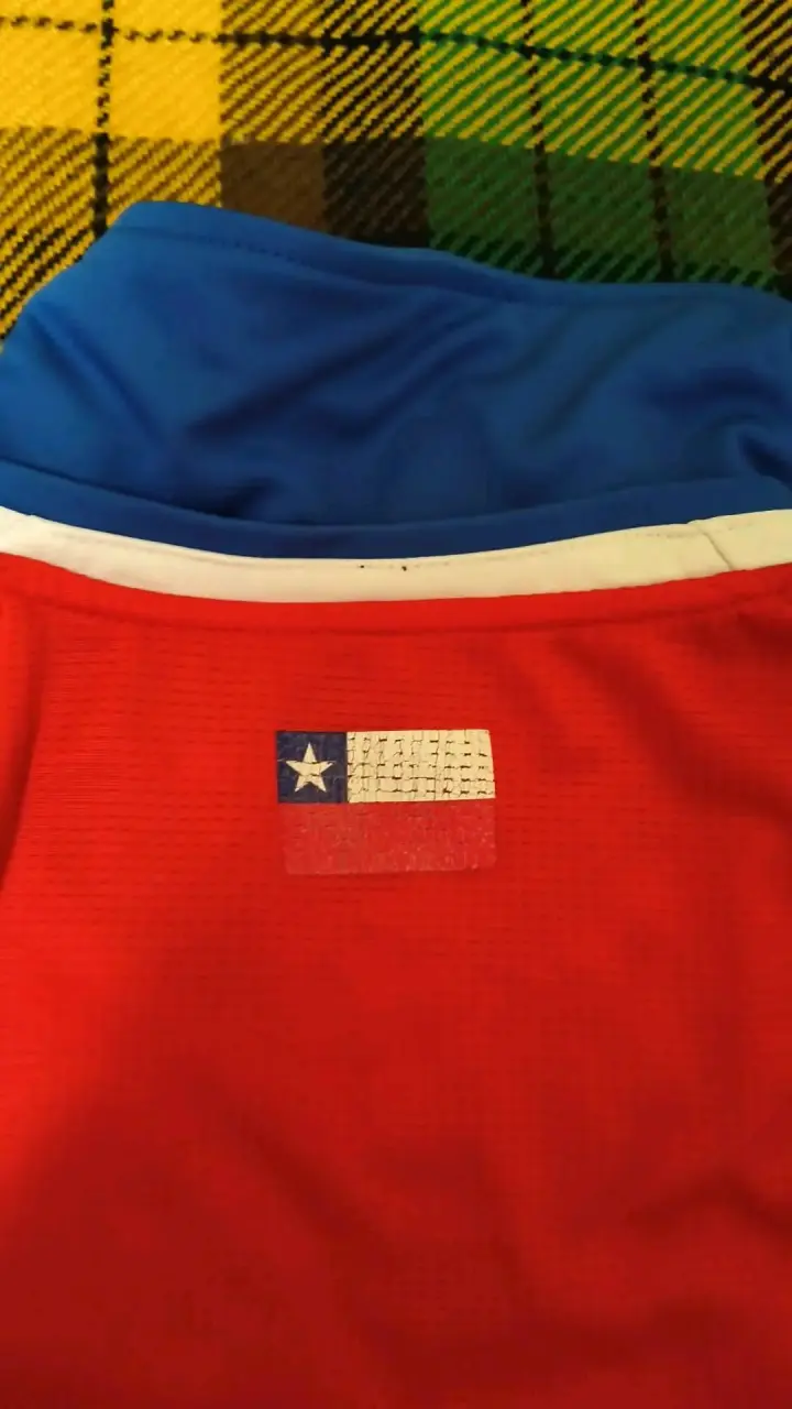 Camiseta Roja Selección Chile Puma - 4