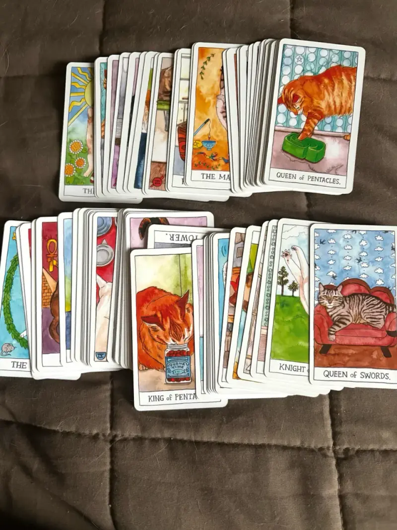 Juego de cartas tarot gatuno - 2