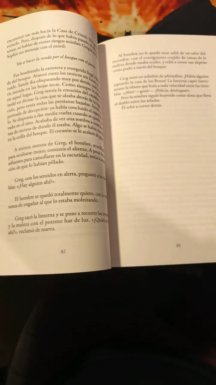 Libro 'Un animal salvaje' de Joël Dicker - 3