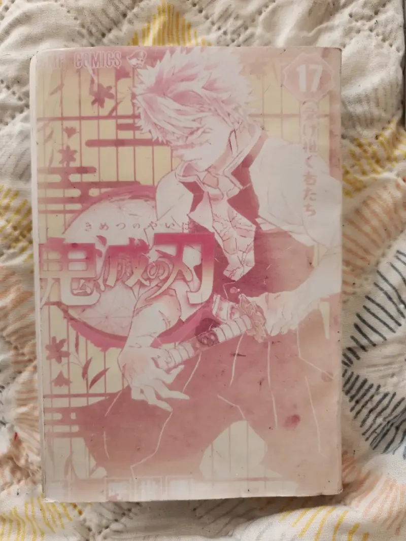 Manga Kimetsu no Yaiba Volumen 17 y18 - 2