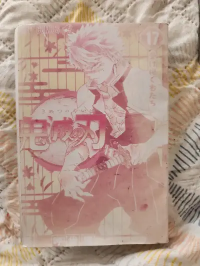 Manga Kimetsu no Yaiba Volumen 17 y18 - miniatura 2