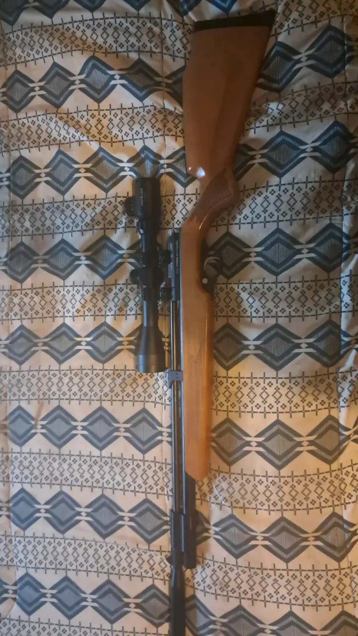 Rifle de aire comprimido con mira telescópica - 2
