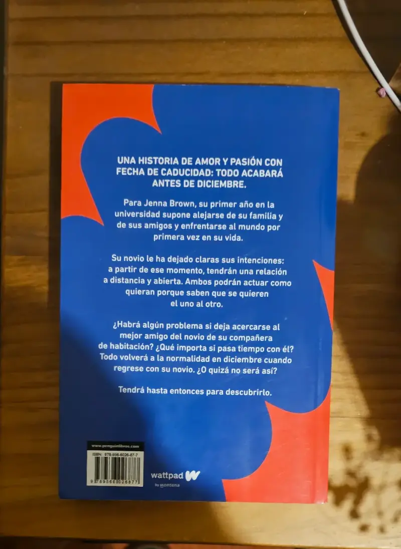 Libro 'Antes de Diciembre' de Joana Marcús - 2