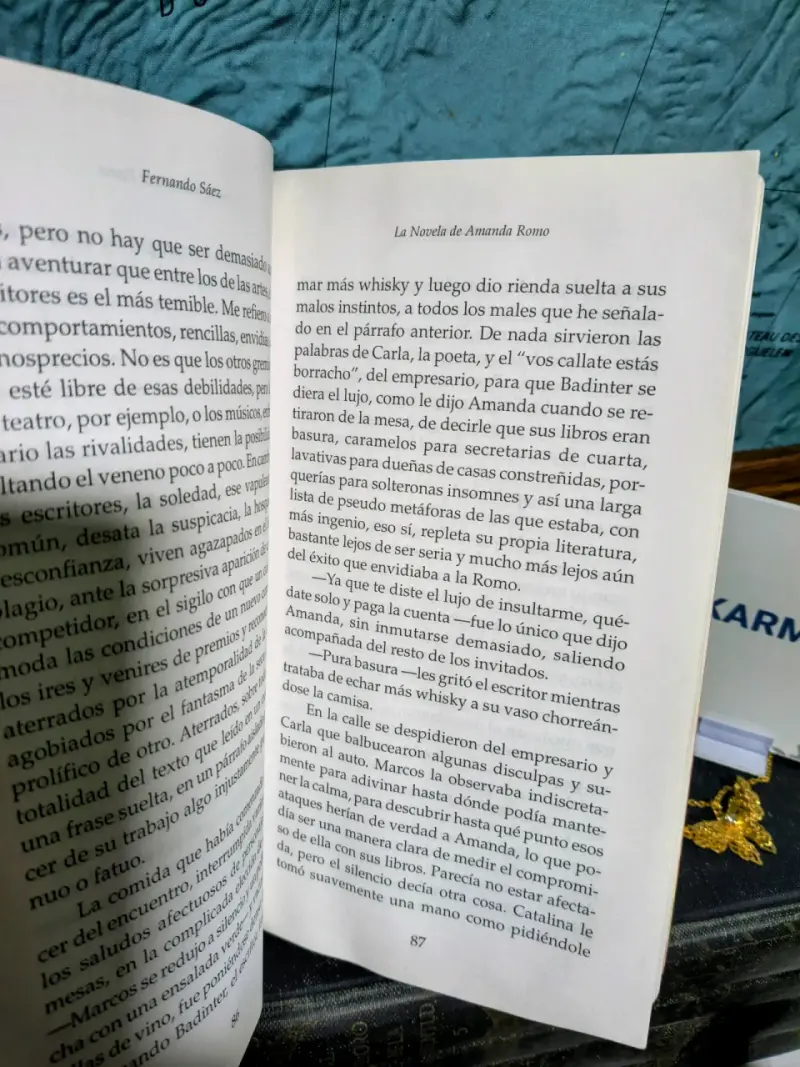 Libro 'La Novela de Amanda Romo' de Fernando Sáez - 2