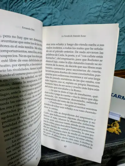 Libro 'La Novela de Amanda Romo' de Fernando Sáez - miniatura 2