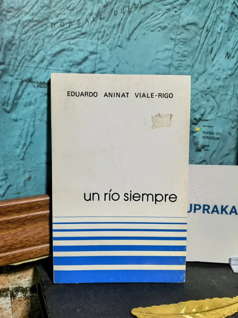 'Un Río Siempre' de Eduardo Aninat Viale-Rigo - 1