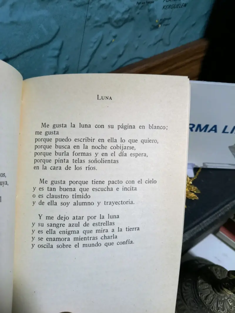 'Un Río Siempre' de Eduardo Aninat Viale-Rigo - 2