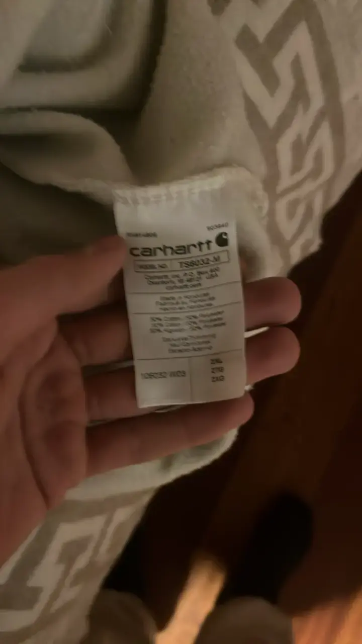 Polerón Carhartt blanco con capucha - 4