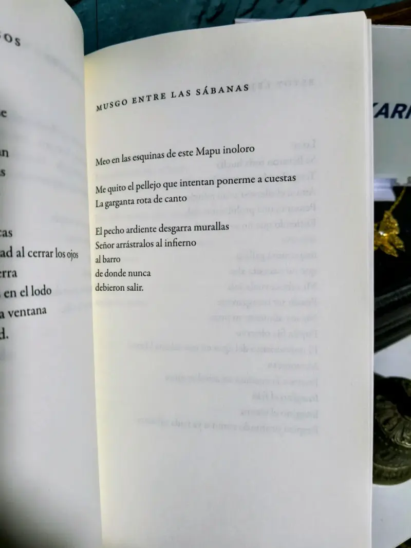 Libro 'La mujer gallina' de Karo Castro - 3