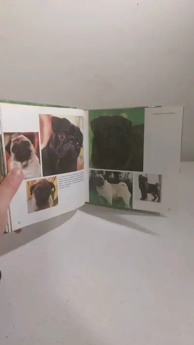 Libro Perros 1001 Fotos Editorial Tikal - miniatura 4
