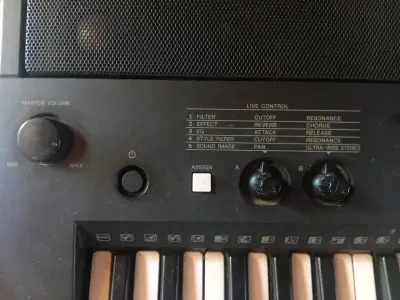 Teclado Yamaha PSR-E433 con múltiples funciones - miniatura 3