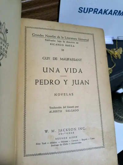 'Una Vida' y 'Pedro y Juan' de Guy de Maupassant - miniatura 1