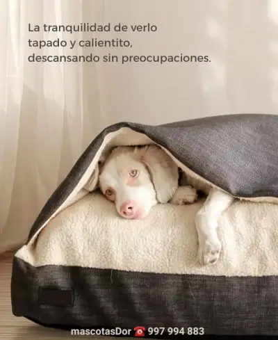 Cama perro con cubierta cálida y acogedora 75x60cm - miniatura 1