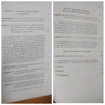 Libro España: Anestesiada Sin Percibirlo . Psoe - miniatura 2