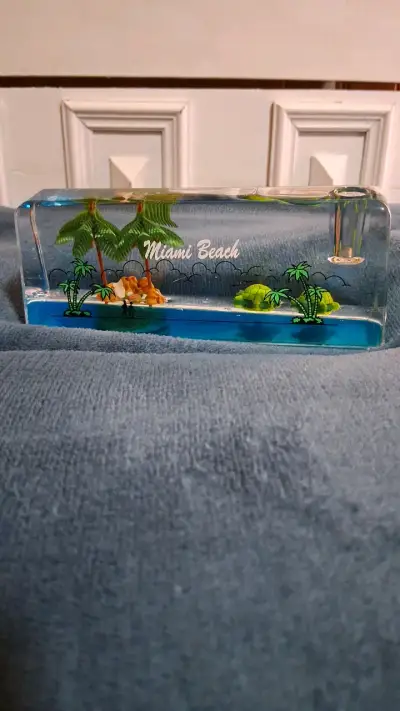 Recuerdo de Miami Beach con palmeras y tortuguitas - miniatura 1