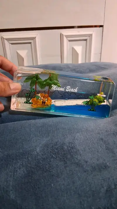 Recuerdo de Miami Beach con palmeras y tortuguitas - miniatura 2