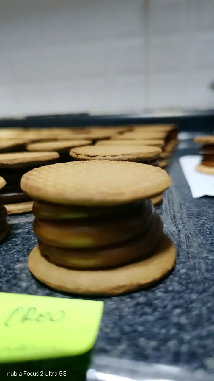 Alfajores artesanales surtidos con dulce de leche - 3