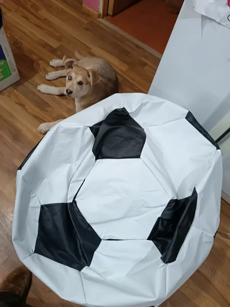Puff en forma de balón de fútbol blanco y negro - 3