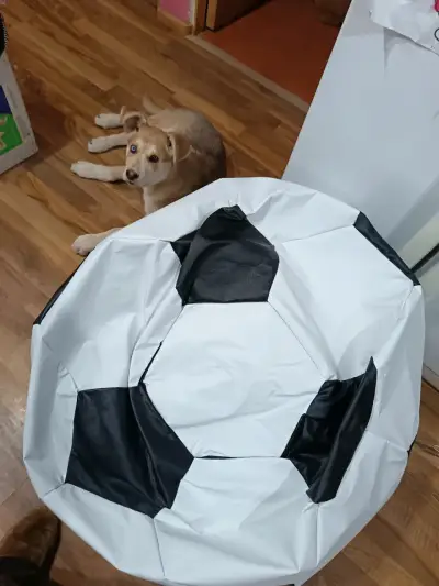 Puff en forma de balón de fútbol blanco y negro - miniatura 3