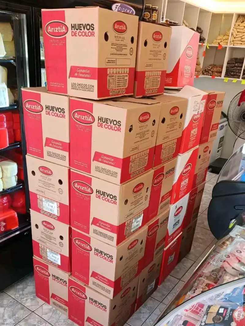 Cajas de huevos de color Ariztía frescos