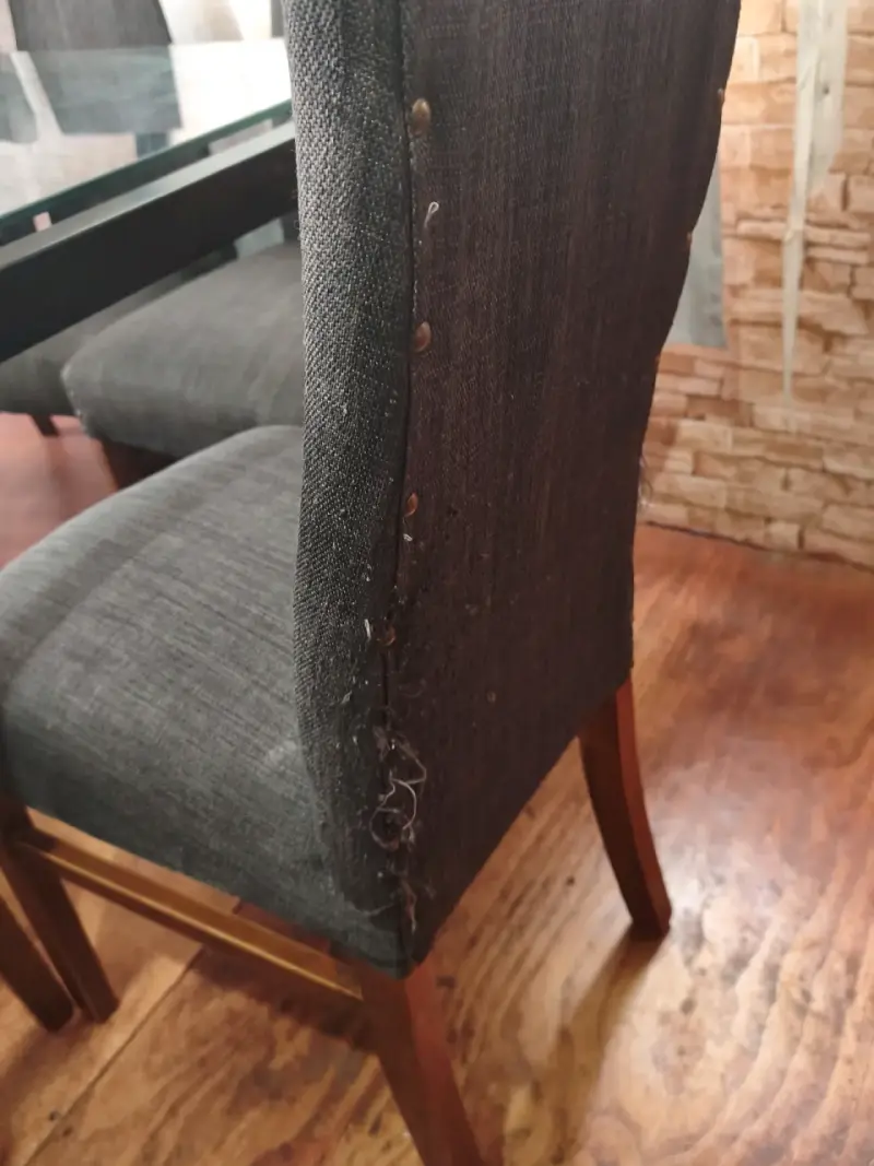 Mesa de comedor de vidrio con 8 sillas - 5