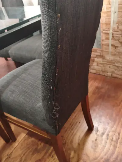 Mesa de comedor de vidrio con 8 sillas - miniatura 5