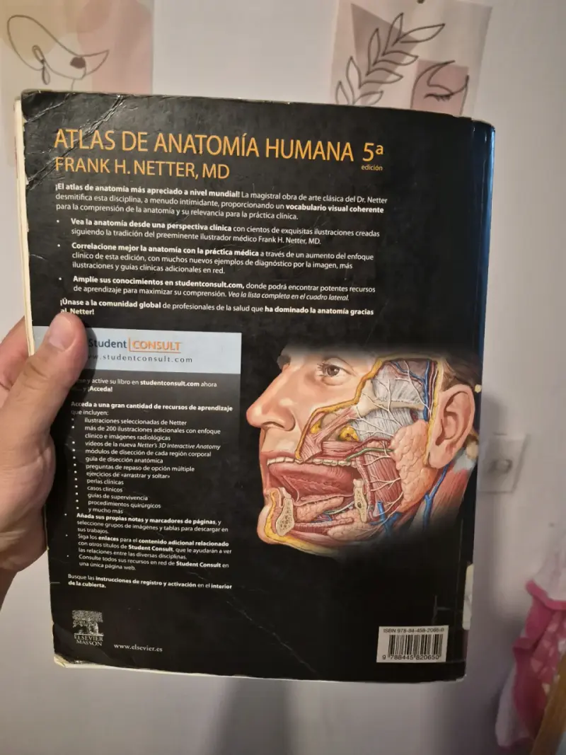 Atlas de Anatomía Humana 5ª Edición Frank H. Netter - 2
