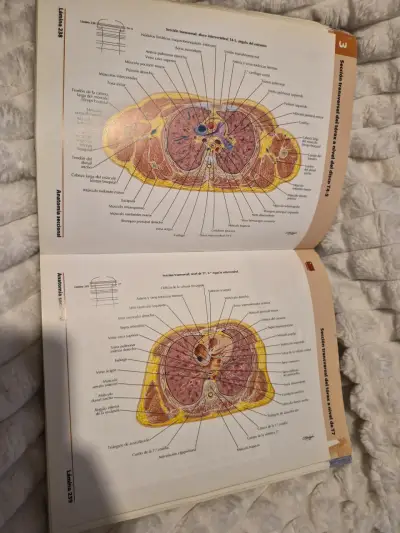 Atlas de Anatomía Humana 5ª Edición Frank H. Netter - miniatura 4