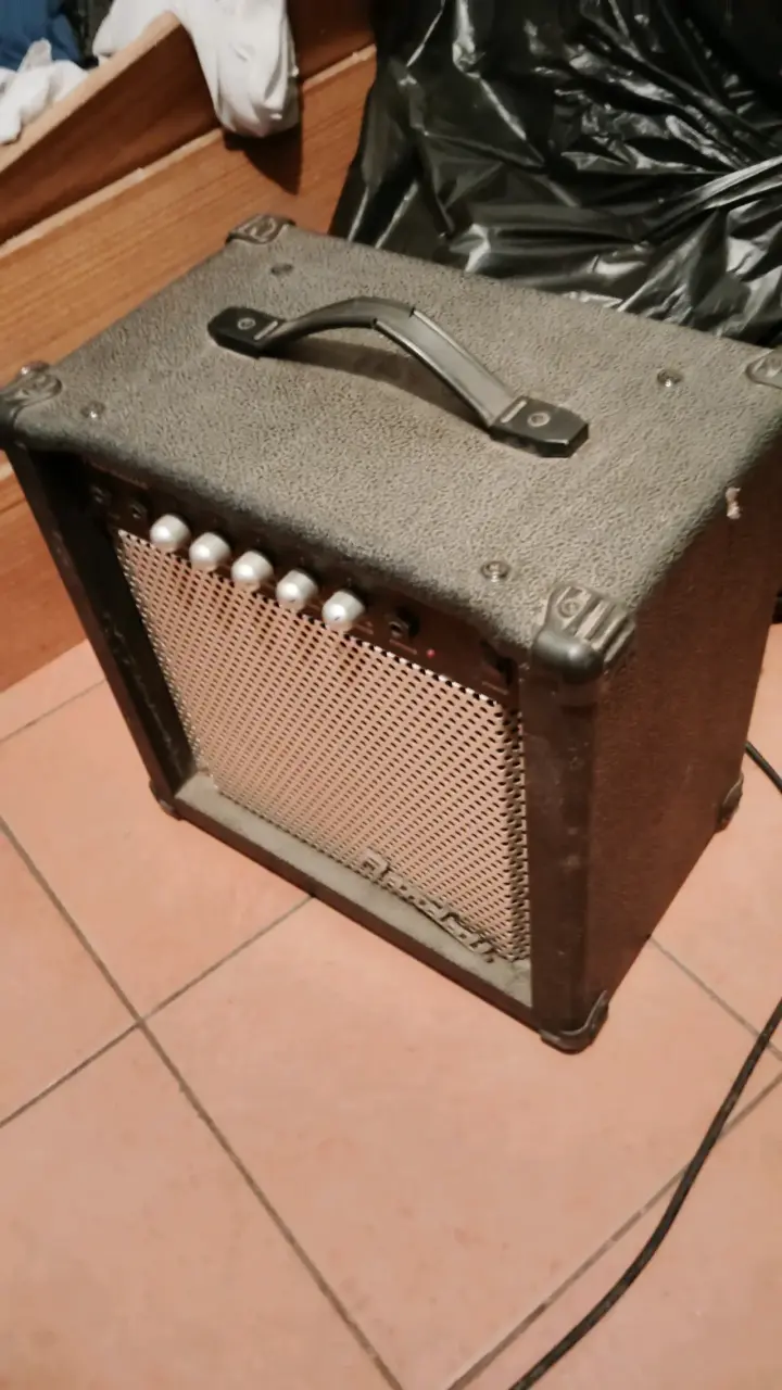 Amplificador Randall Big Dog para guitarra - 2