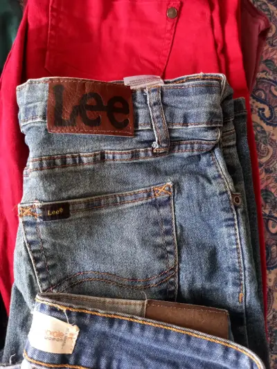Lote de jeans y pantalones de varias marcas - miniatura 5