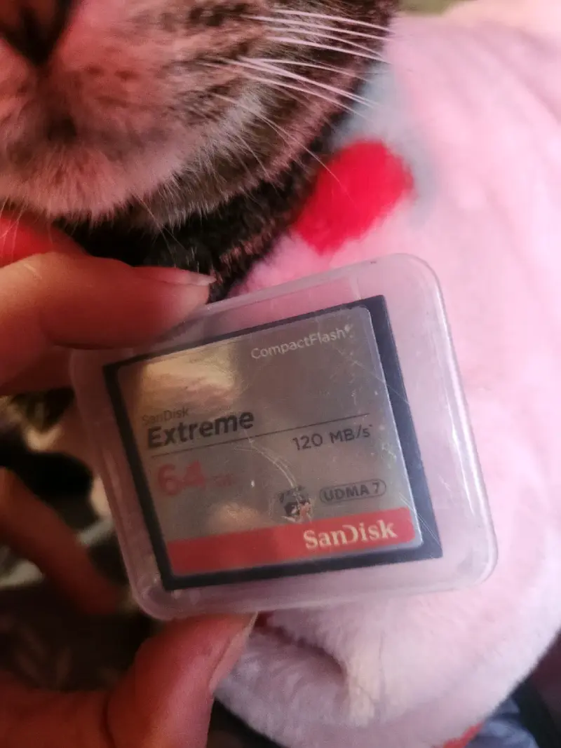 Tarjeta CompactFlash SanDisk Extreme 64GB 120MB/s