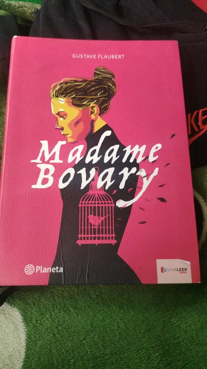 Libro Madame Bovary de Gustave Flaubert - 1