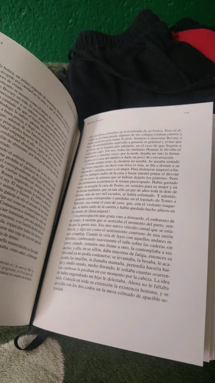 Libro Madame Bovary de Gustave Flaubert - 2