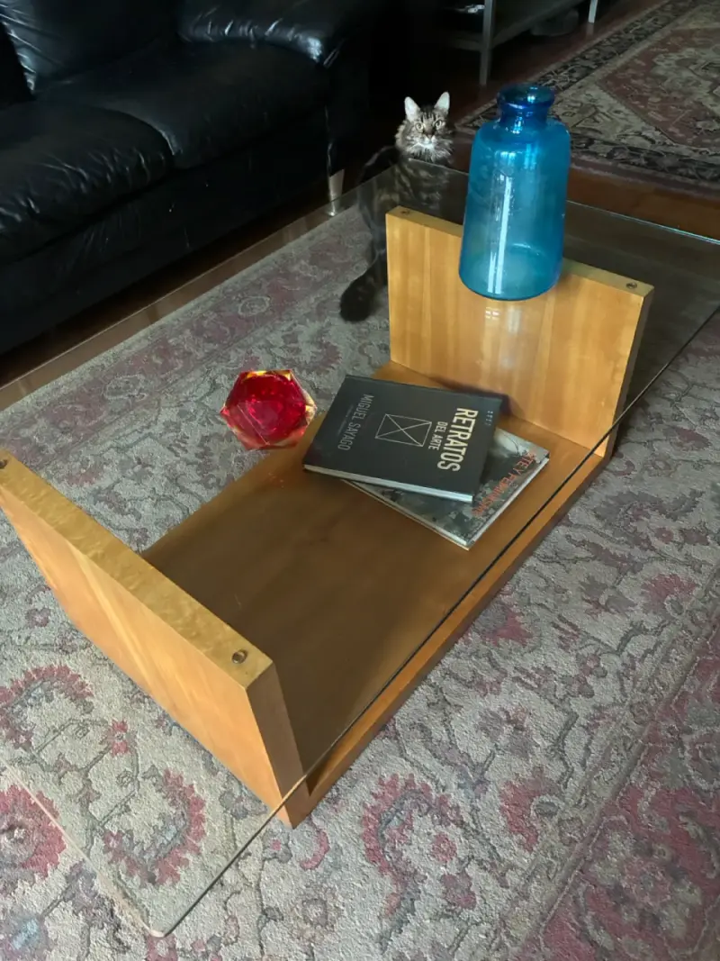 Mesa de centro de vidrio y madera maciza - 1