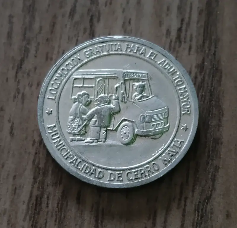 Ficha locomoción Adulto Mayor Cerro Navia - 3