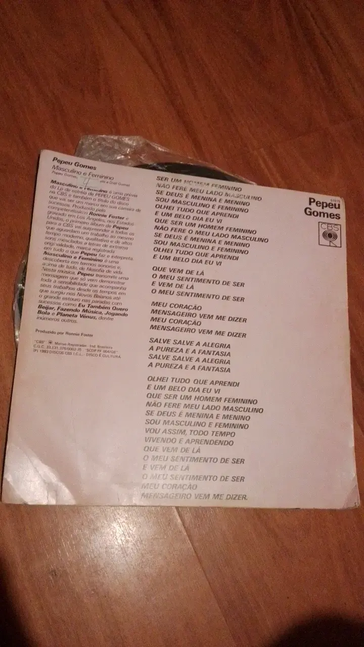 Vinilo de música del brasileño Pepeu Gomes - 2