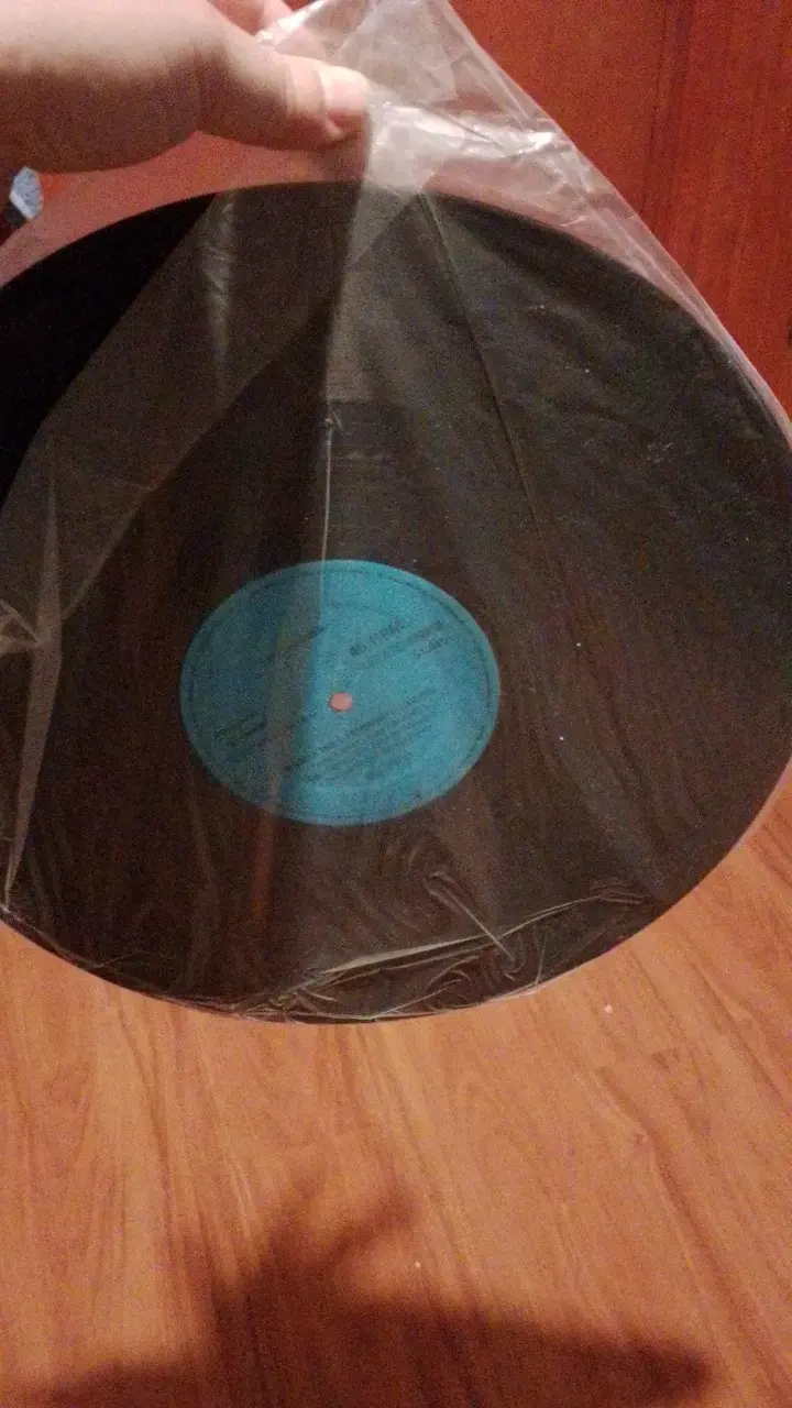 Vinilo de música del brasileño Pepeu Gomes - 3