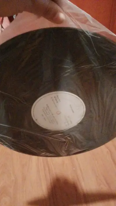 Vinilo de música del brasileño Pepeu Gomes - miniatura 4