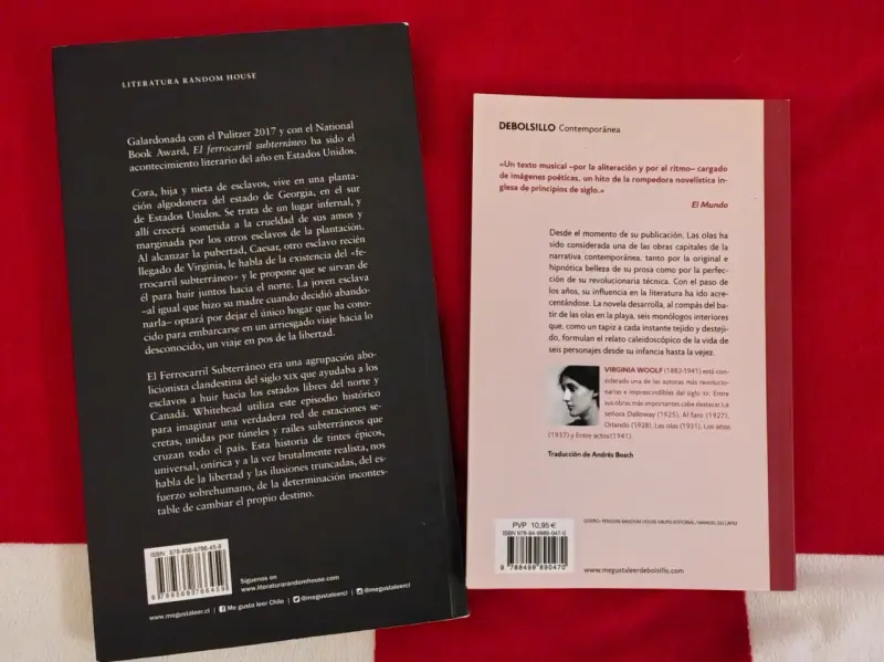 Libros 'El Ferrocarril Subterráneo' y 'Las Olas' - 2