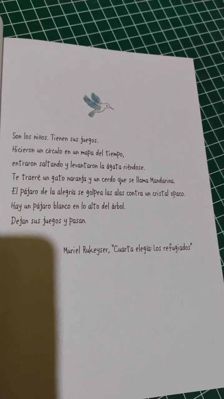 Novela gráfica Pájaro Blanco de R.J. Palacio - 4