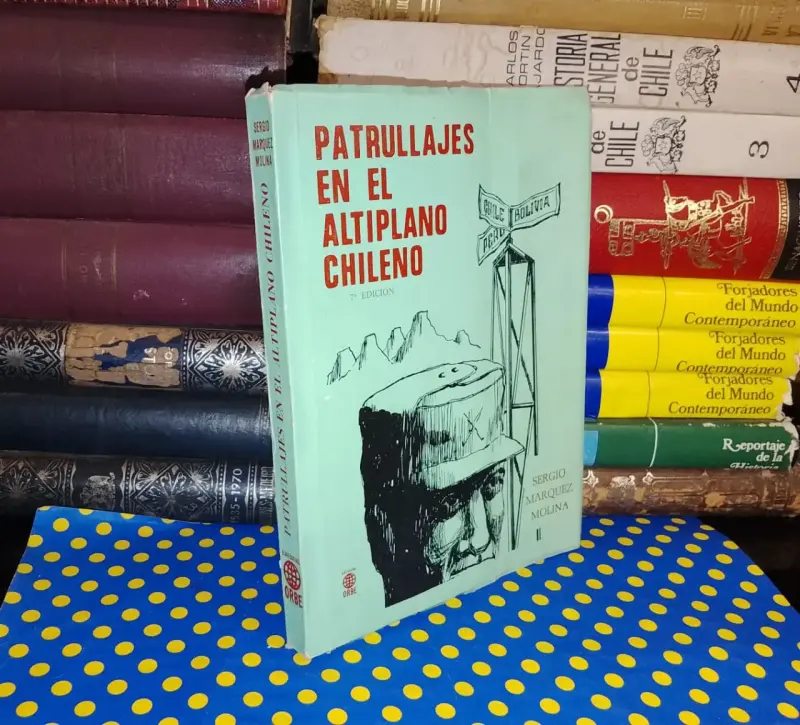 Patrullajes En El Altiplano Chileno - 1