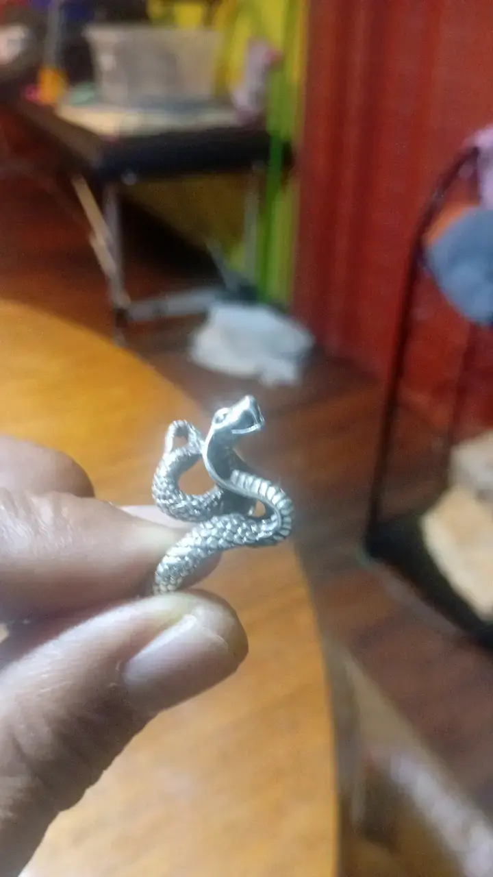 Anillo de serpiente en plata - 2