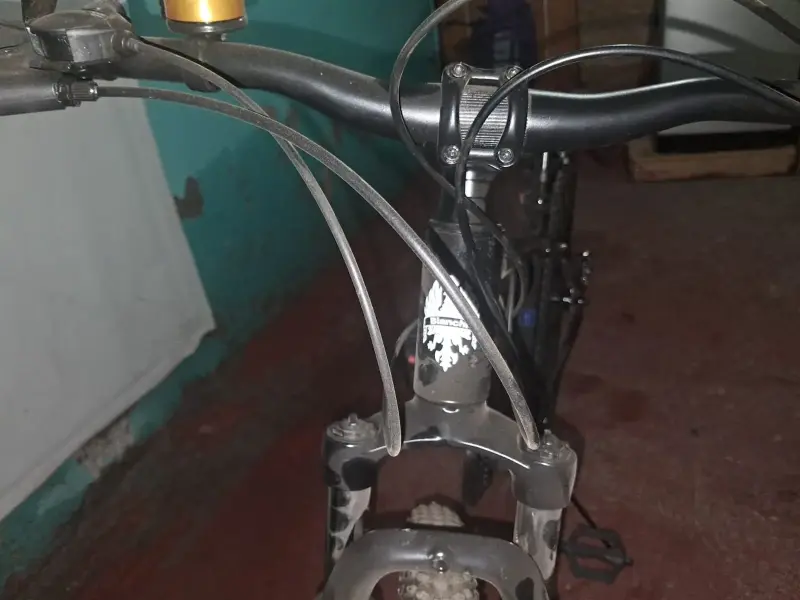 Bicicleta Bianchi Raptor 29 pulgadas negra - 5