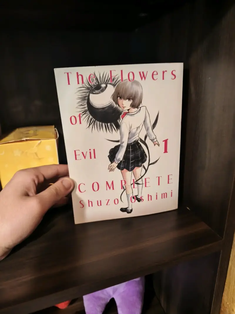 Colección Completa The Flowers of Evil Shuzo Oshimi - 4