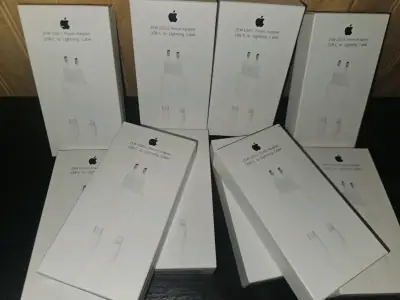 Cargador Apple USB-C 25W con Cable Lightning - miniatura 1
