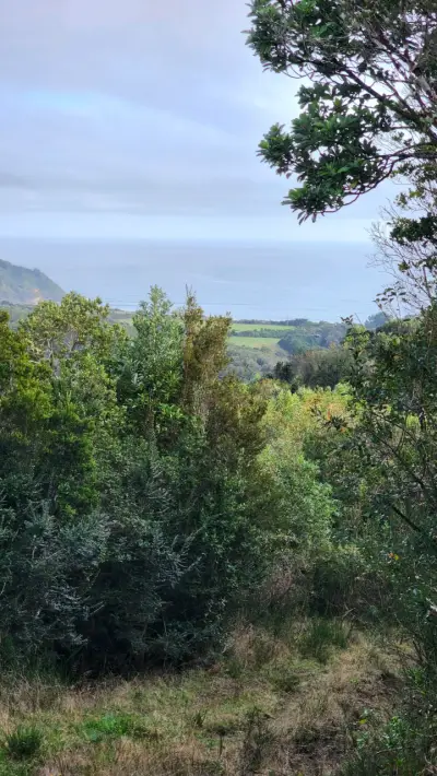 Campo de 7 Ha en Ancud Chiloé - miniatura 2