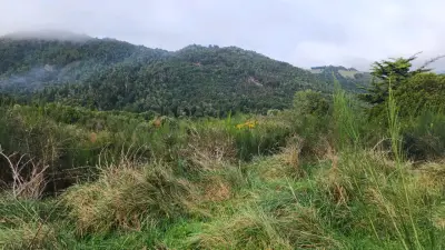 Campo de 7 Ha en Ancud Chiloé - miniatura 4
