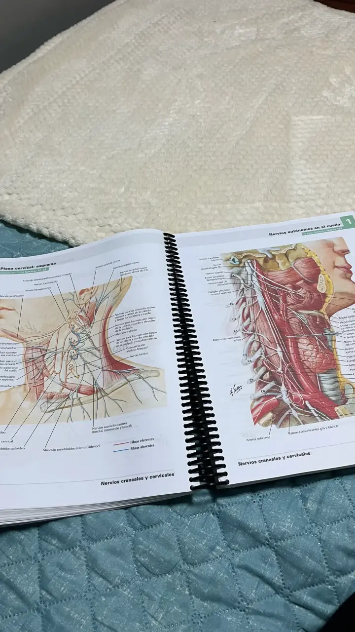Atlas de Anatomía Humana de Frank H. Netter 6ª Edición - 3