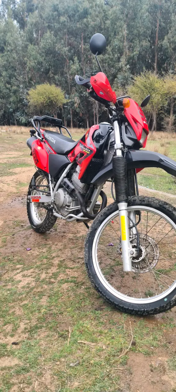 Honda Tornado XR 250 - 2