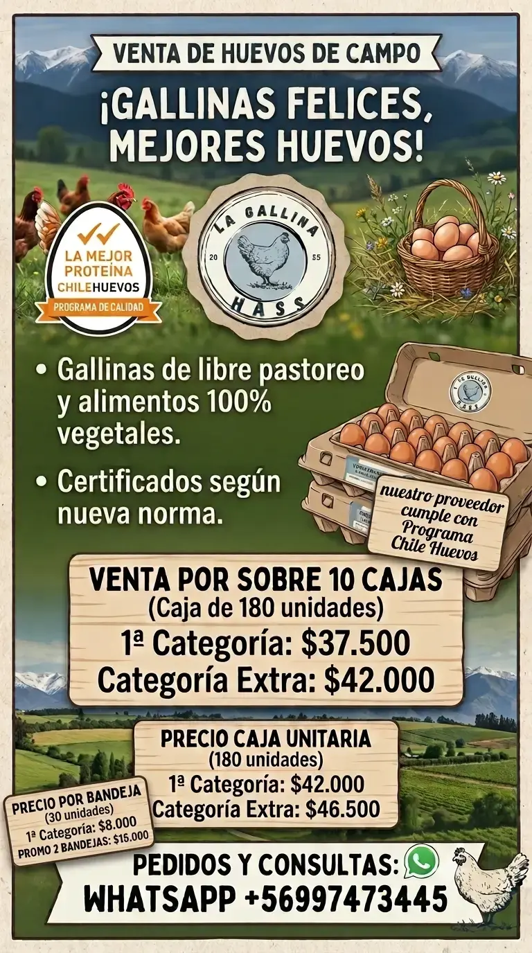 Venta de huevos de campo
